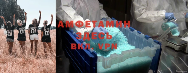 ГАЛЛЮЦИНОГЕННЫЕ ГРИБЫ Абаза